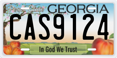 GA license plate CAS9124