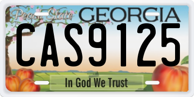 GA license plate CAS9125