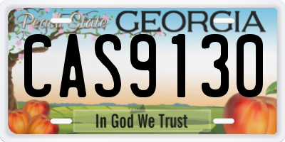 GA license plate CAS9130