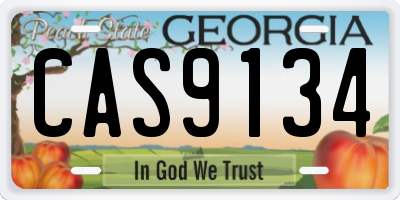 GA license plate CAS9134