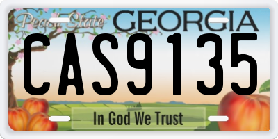 GA license plate CAS9135