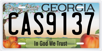 GA license plate CAS9137