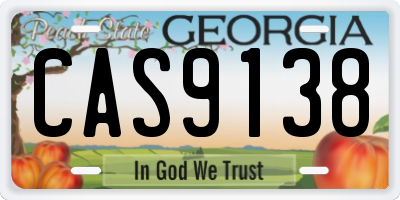 GA license plate CAS9138