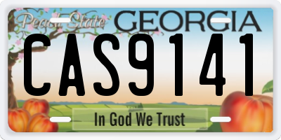 GA license plate CAS9141