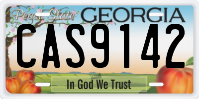 GA license plate CAS9142