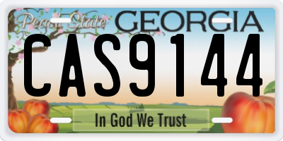 GA license plate CAS9144