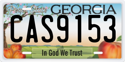 GA license plate CAS9153