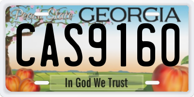 GA license plate CAS9160