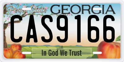 GA license plate CAS9166