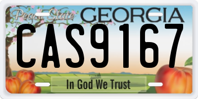 GA license plate CAS9167
