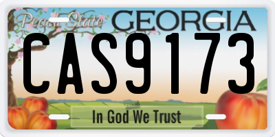GA license plate CAS9173
