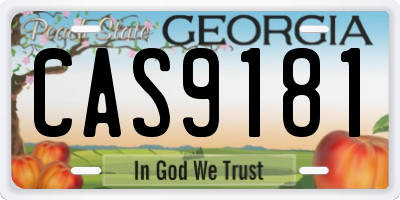 GA license plate CAS9181