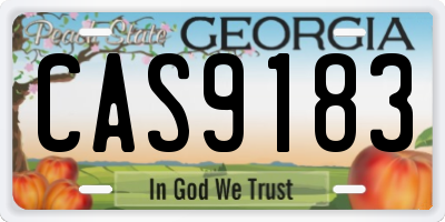 GA license plate CAS9183