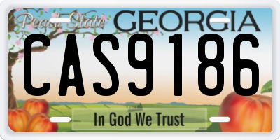 GA license plate CAS9186