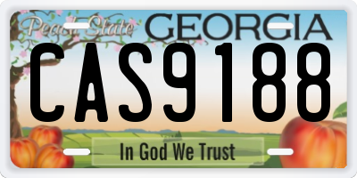 GA license plate CAS9188