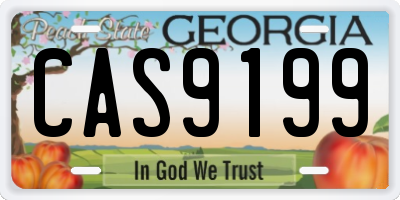GA license plate CAS9199