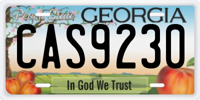 GA license plate CAS9230