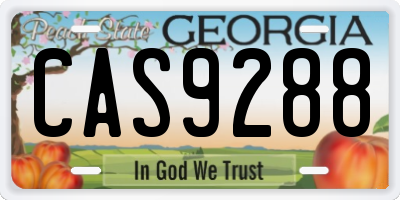 GA license plate CAS9288