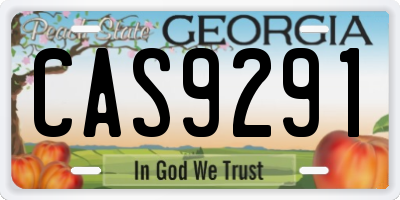 GA license plate CAS9291