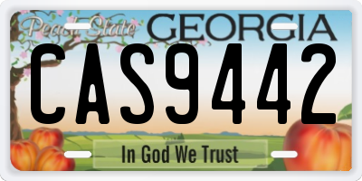GA license plate CAS9442