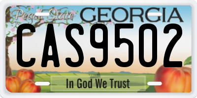 GA license plate CAS9502