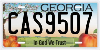 GA license plate CAS9507