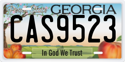GA license plate CAS9523