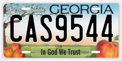 GA license plate CAS9544