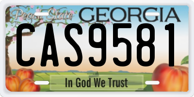 GA license plate CAS9581