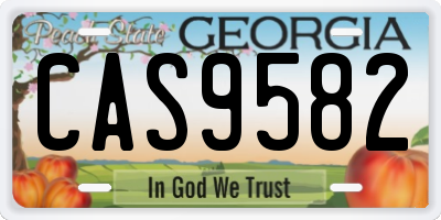 GA license plate CAS9582