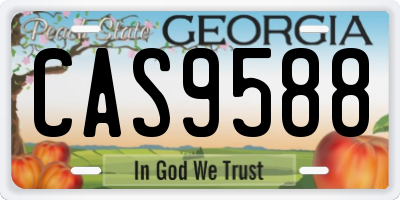 GA license plate CAS9588