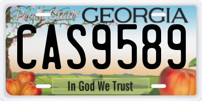 GA license plate CAS9589