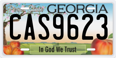 GA license plate CAS9623