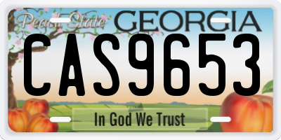 GA license plate CAS9653