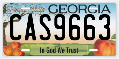 GA license plate CAS9663