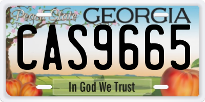 GA license plate CAS9665