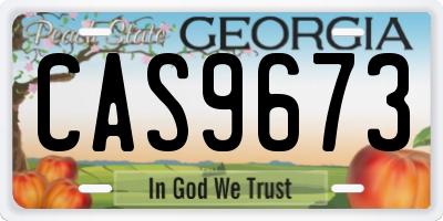 GA license plate CAS9673