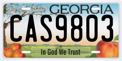 GA license plate CAS9803