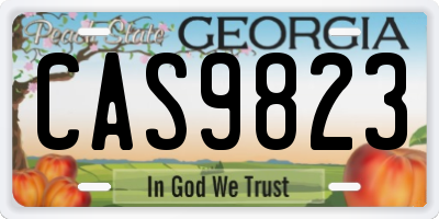 GA license plate CAS9823