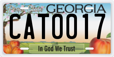 GA license plate CAT0017