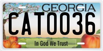GA license plate CAT0036