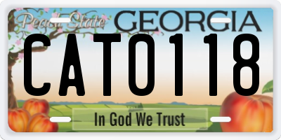 GA license plate CAT0118