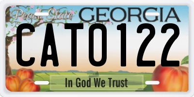 GA license plate CAT0122