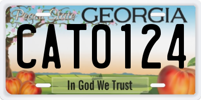 GA license plate CAT0124
