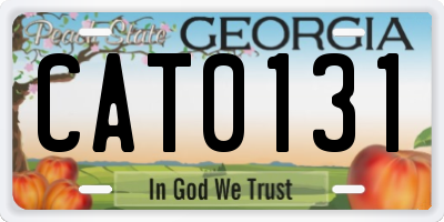 GA license plate CAT0131