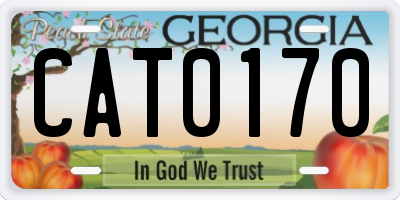GA license plate CAT0170
