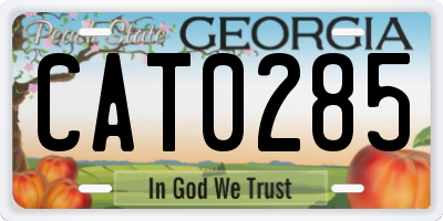 GA license plate CAT0285