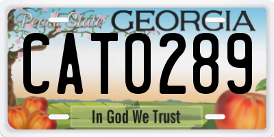 GA license plate CAT0289