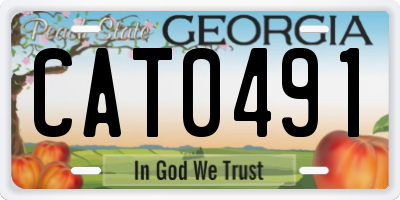 GA license plate CAT0491