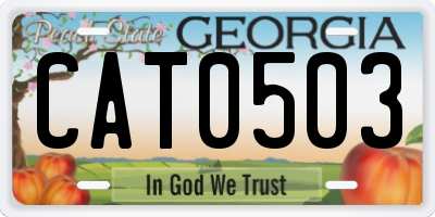 GA license plate CAT0503